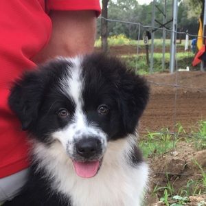 Meet your Posher, Sergey